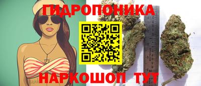сатива Аргун