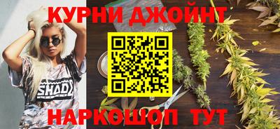 сатива Аргун