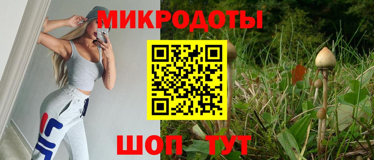 Псилоцибиновые грибы Psilocybe  Вход с VPN  Воткинск 