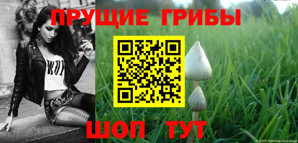 Псилоцибиновые грибы мицелий Воткинск